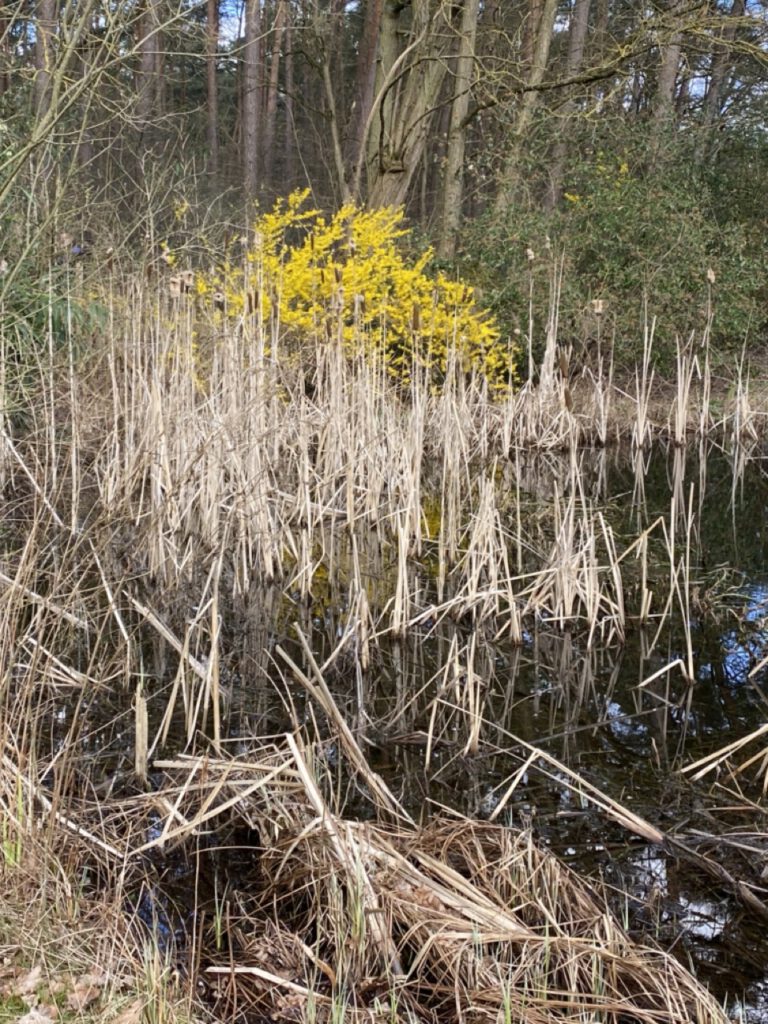 Groß (IMG_4805) 2