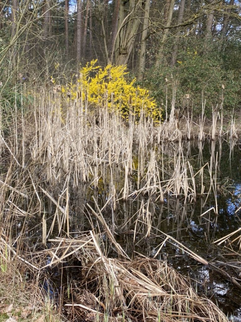 Groß (IMG_4805)
