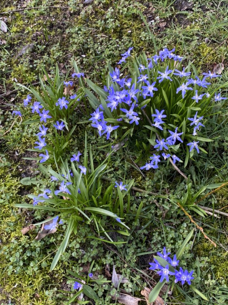 Groß (IMG_4806)
