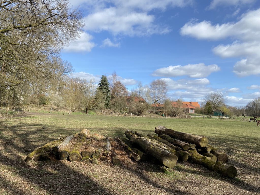 Groß (IMG_4809)
