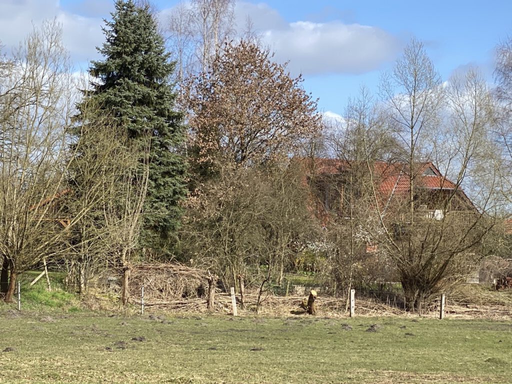 Groß (IMG_4810)