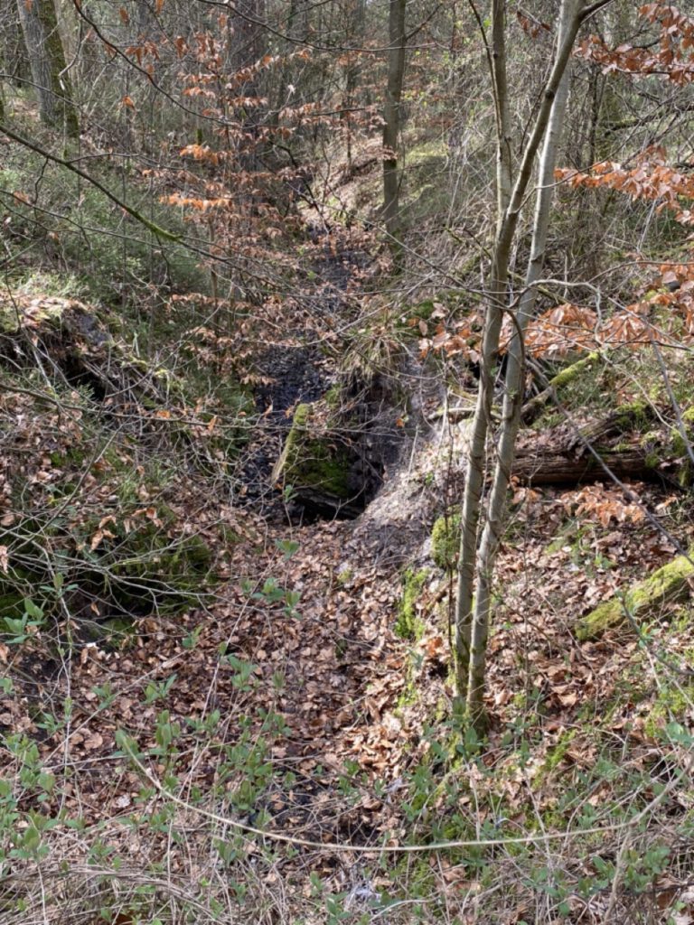 Groß (IMG_4811)