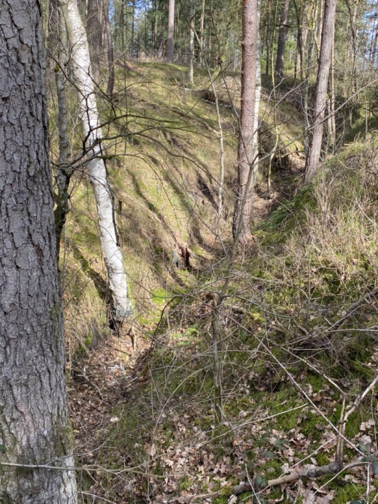 Groß (IMG_4812)